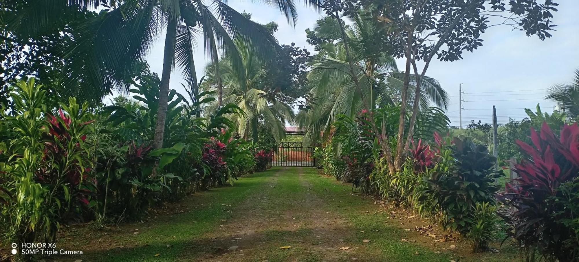 Finca La Paz - Sarapiqui Puerto Viejo de Sarapiqui エクステリア 写真
